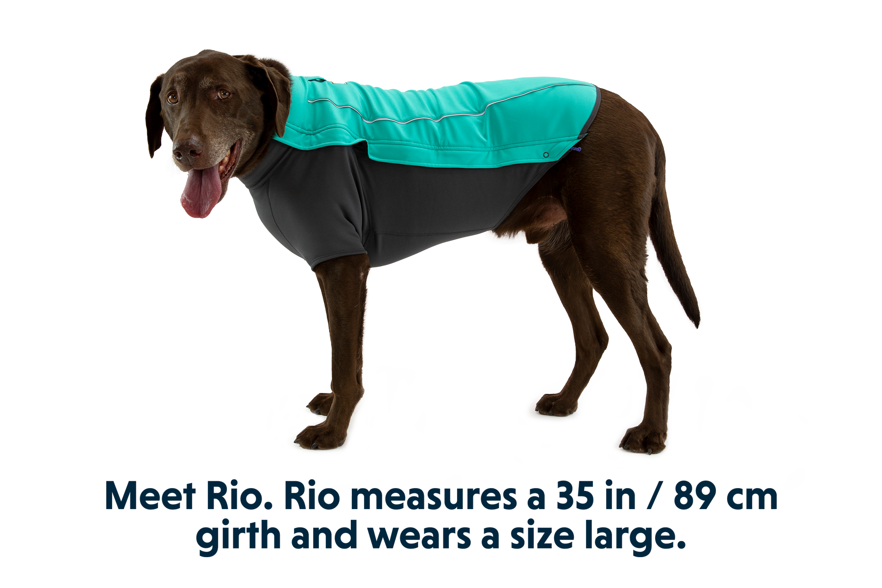 Cloud Chaser Dog Jacket - Image 9