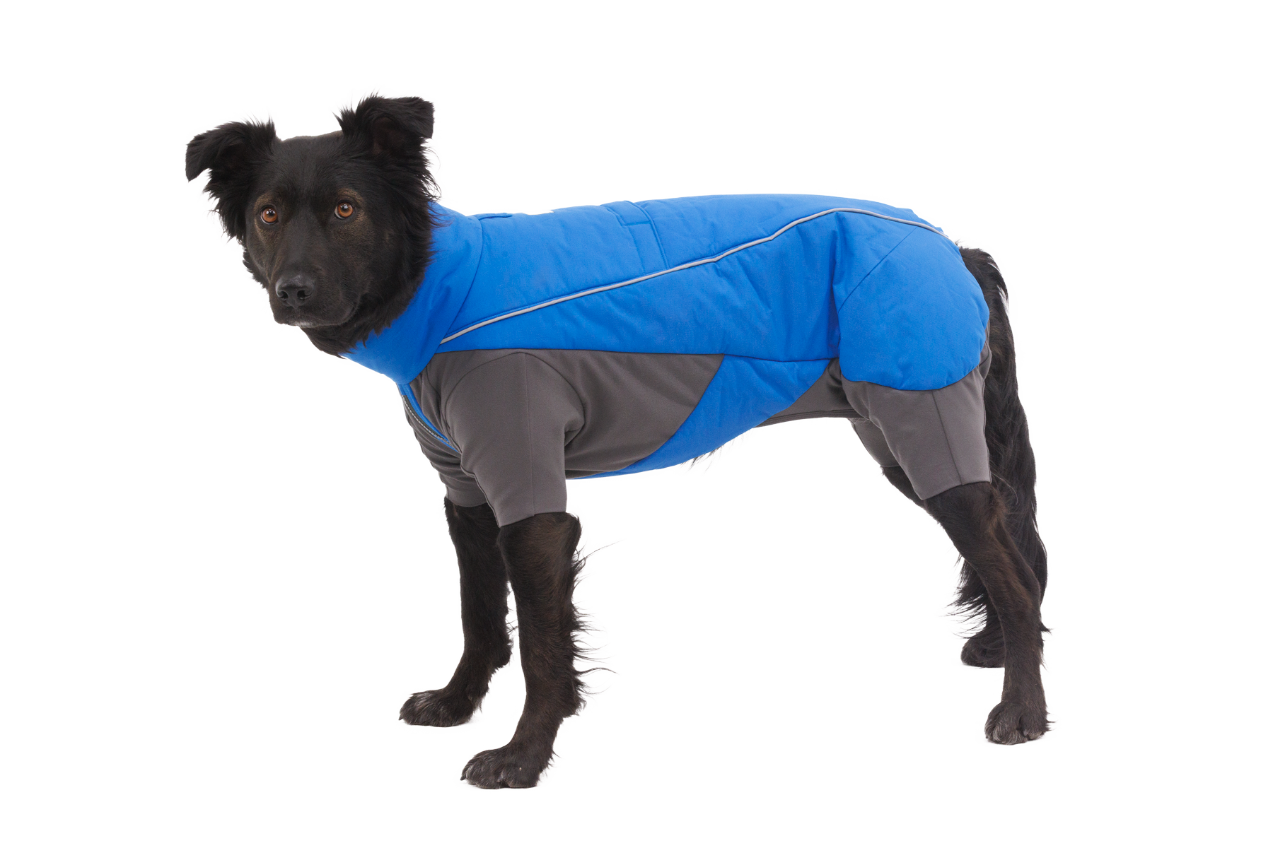 Vert Coverall Dog Snow Suit - Image 2