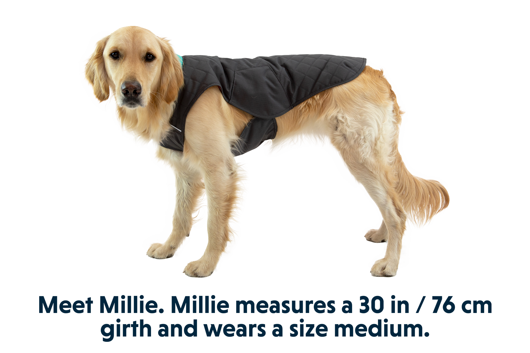 Stumptown Insulated Vest - Image 4