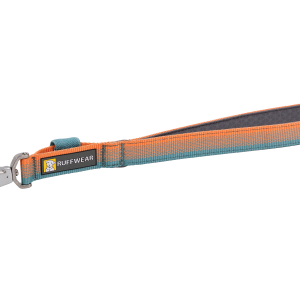 Front Range Dog Short Leash