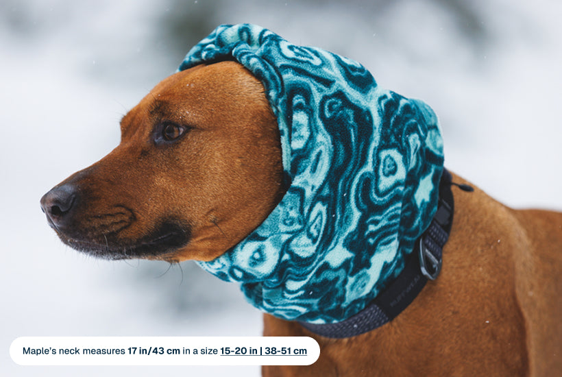 Mt. Hoodie Warming Neck Gaiter - Image 19
