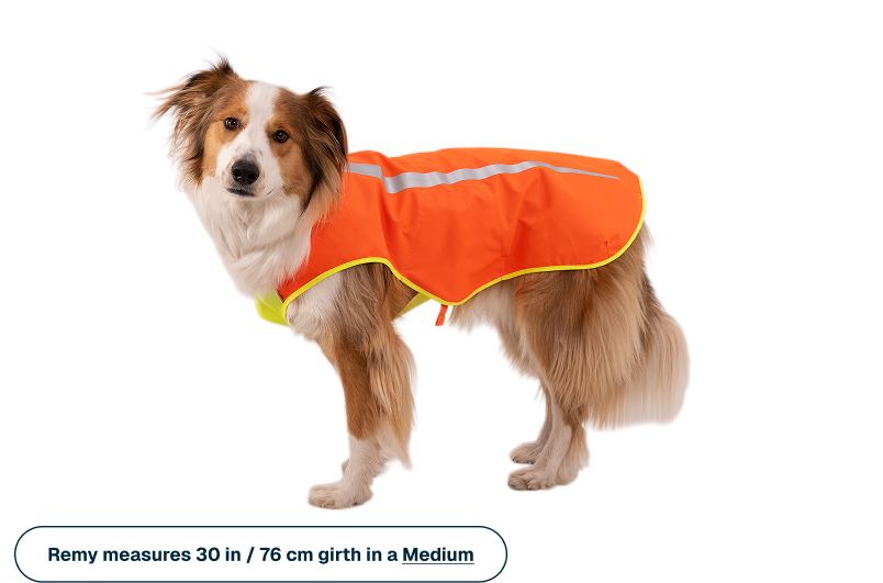 Lumenglow High-Vis Vest - Image 10