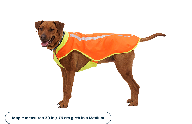 Lumenglow High-Vis Vest - Image 11