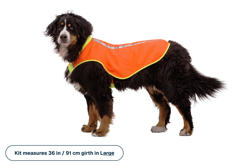 Lumenglow High-Vis Vest - Image 12