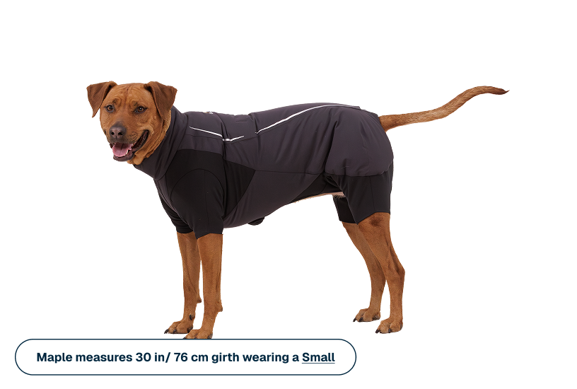 Powder Hound Waterproof Insulated Coverall - Image 9