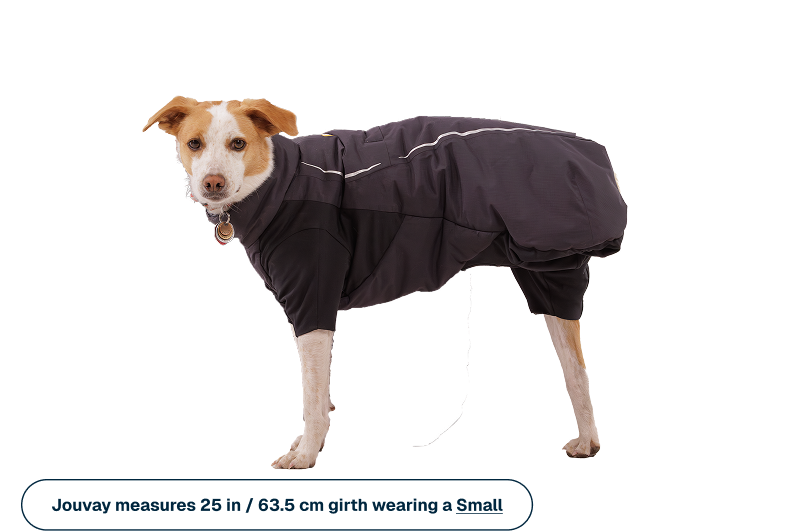 Powder Hound Waterproof Insulated Coverall - Image 10