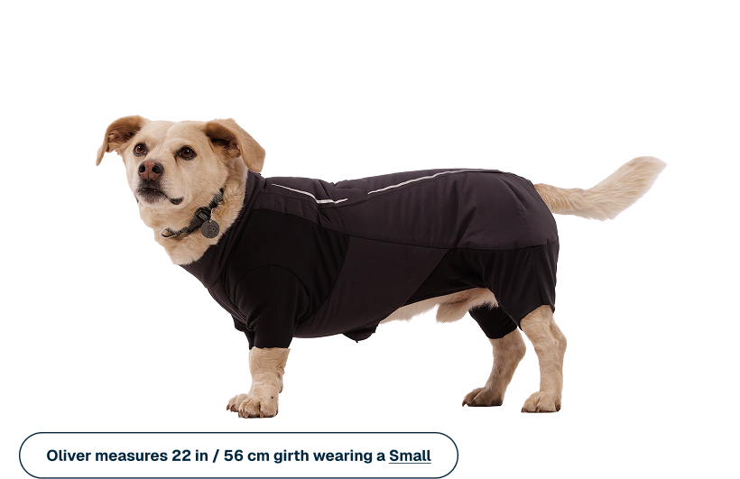 Powder Hound Waterproof Insulated Coverall - Image 11
